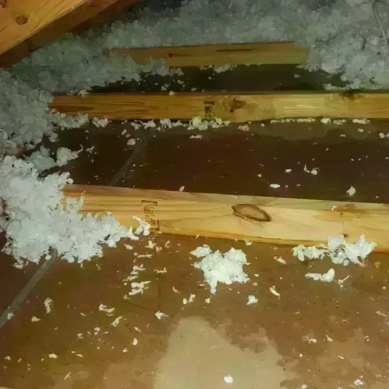 Attic Water Damage in Independence, OR