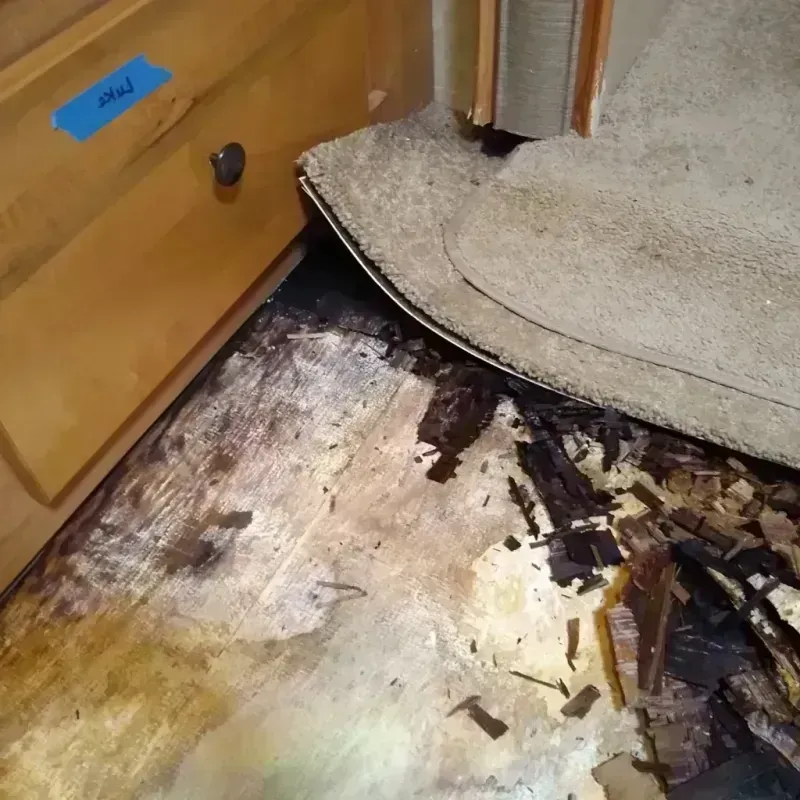 Wood Floor Water Damage in Independence, OR